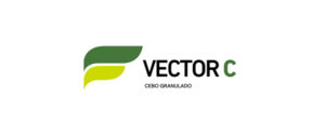 Vector C