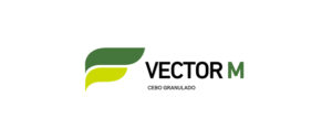 Vector M