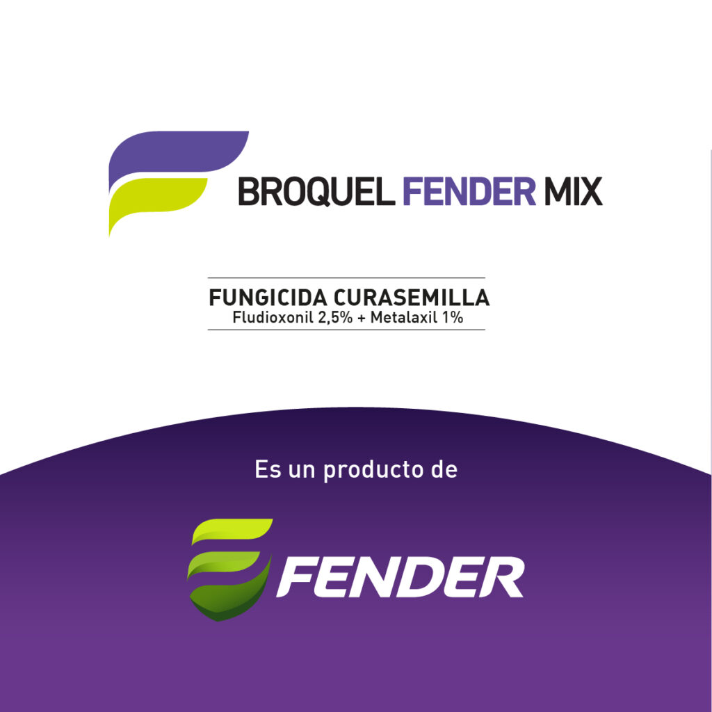 Redes 3