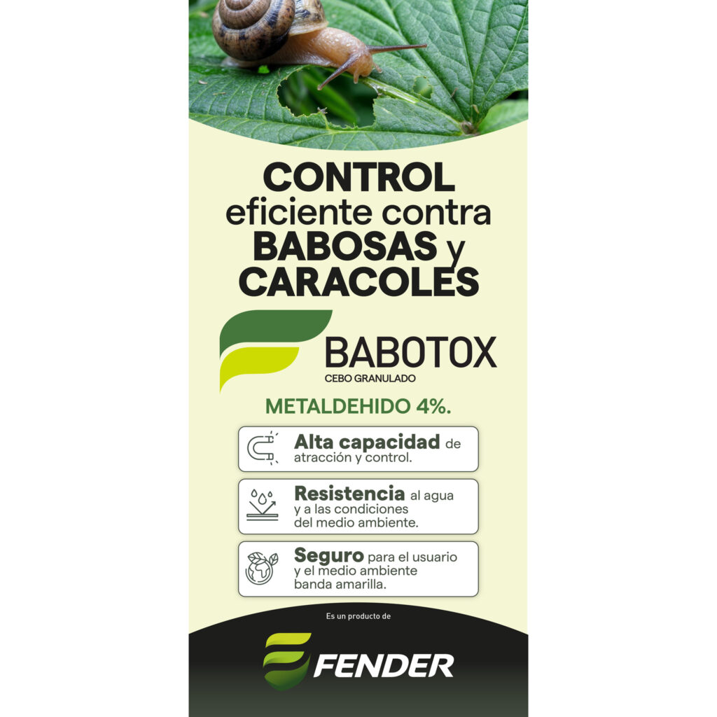 Banner Babotox