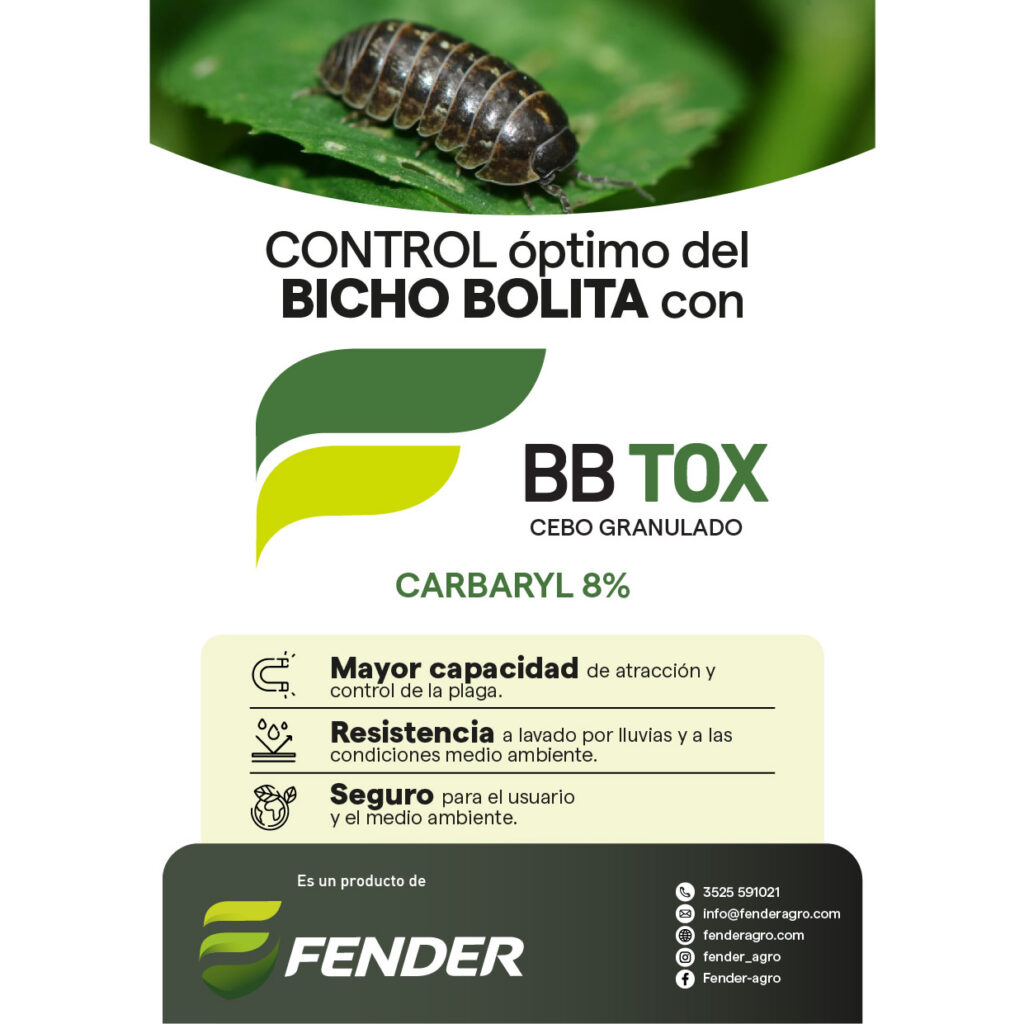Folleto BBTox