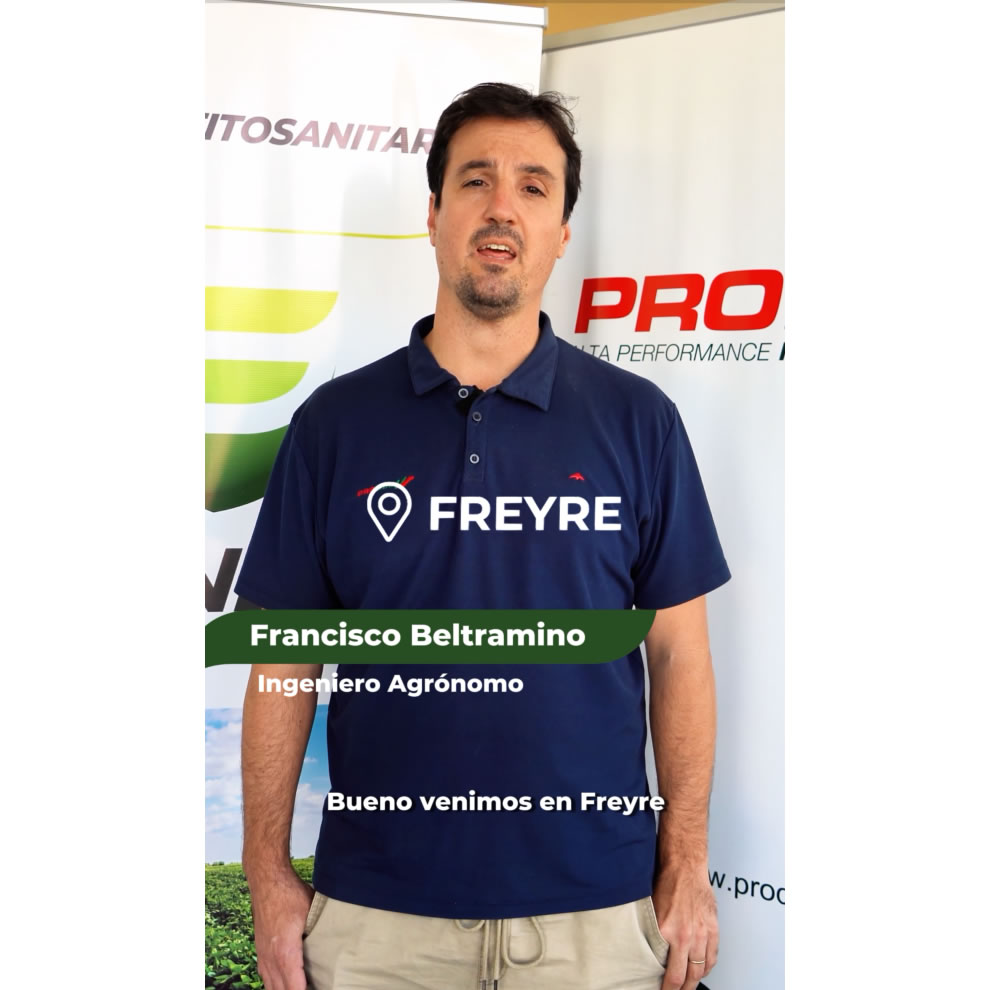 Reel Beltramino