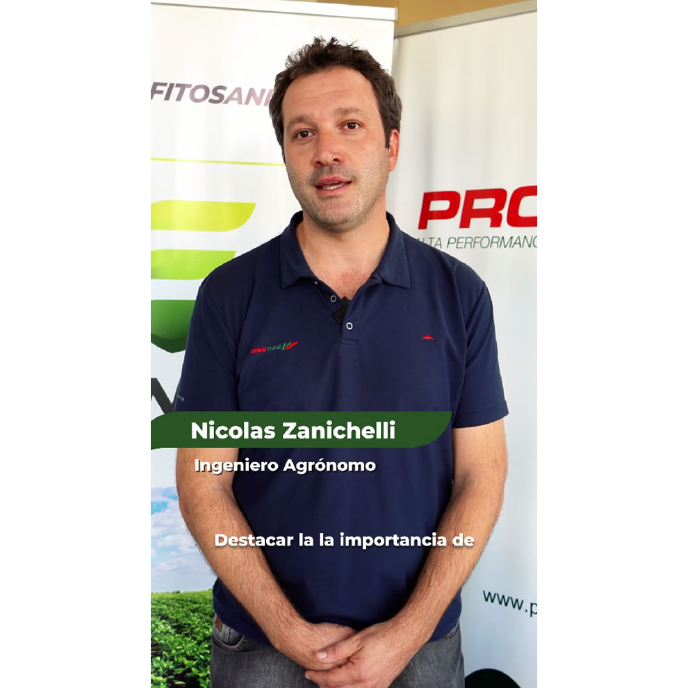 Reel Zanichelli