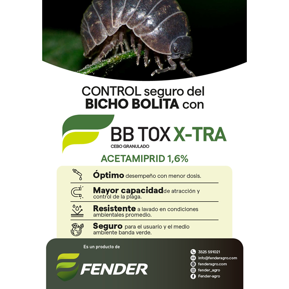 Folleto BBTox Xtra