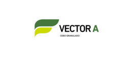 Vector A