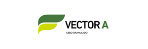 Vector A