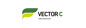 Vector C