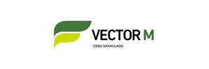 Vector M